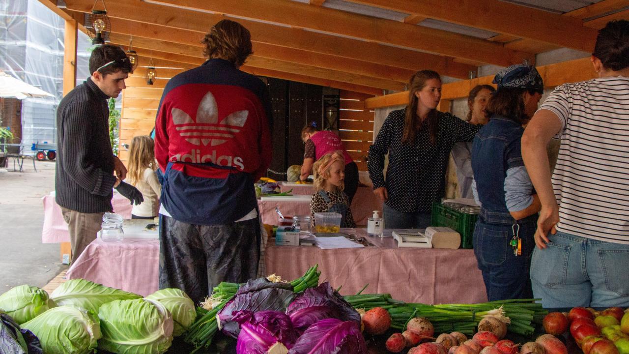 Fermentering Fermentering workshop i Multiskuret