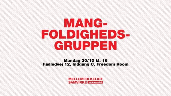 Mangfoldighedsgruppen